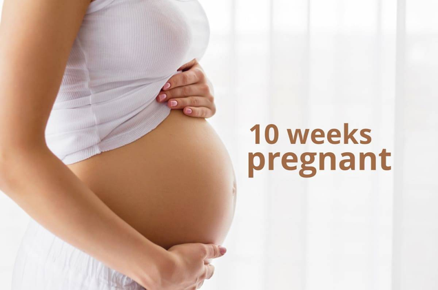 10th Weeks Pregnant